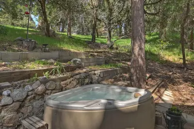 a bath tub sitting in a garden next to a tree at The Lazy Bear Cabin - For 6 in Crestline