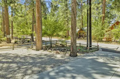 a path in a forest with trees and a house at Lily's Bear Cabin -Adorable Downtown Retreat Cottage in Big Bear Lake
