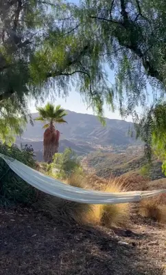 a hammock hanging from a tree with a view at Malibu ranch retreat in Malibu