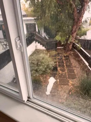 an open window with a view of a garden at Serene & beautiful bohemian hilltop retreat in Glendale
