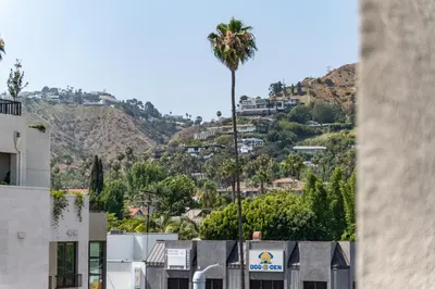 a palm tree on top of a hill with houses at Luxury 2 Bedroom 2 Bathroom Residence With Fitness and Outdoor Pool in Los Angeles
