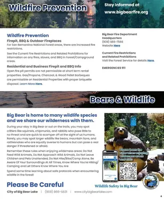 Gallery image of Serendipity - Walk to the Lake & Village, Smart TV, Deck, BBQ in Big Bear Lake