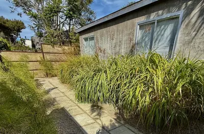 a house with tall grass next to a building at Amenity-Rich Abbot Kinney Venice Oasis! in Los Angeles