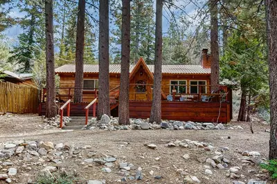 a log cabin in the woods with trees at Idle Ours Cabin ~ Rustic and Cozy Cabin with Fireplace & Private BBQ - Walk to Big Bear Lake in Fawnskin