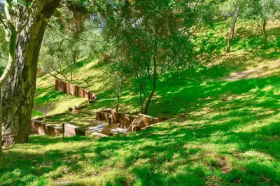 a group of benches in a grassy hill with a tree at Hollywood Hills Spa Retreat Oasis with Tree Top Views, Private Jacuzzi Style Tub, Steam Room, Magical Half Acre Acre Garden and Patio, Free Parking for 2 cars, in LA's most Serene, Central Desirable Area in Los Angeles
