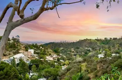 a view of a city from a hill with a tree at Hollywood Hills Spa Retreat Oasis with Tree Top Views, Private Jacuzzi Style Tub, Steam Room, Magical Half Acre Acre Garden and Patio, Free Parking for 2 cars, in LA's most Serene, Central Desirable Area in Los Angeles