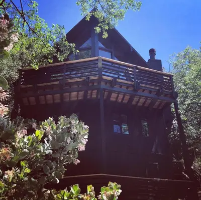 a large wooden house with trees in front of it at BlackOak Hideaway in Lake Arrowhead