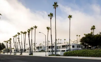 a row of palm trees in front of a building at Oceanfront Artists Retreat Santa Monica Luxury in Los Angeles