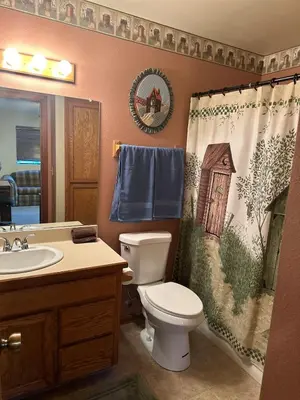 a bathroom with a toilet and a sink and a shower curtain at Home Sweet Home in Frazier Park