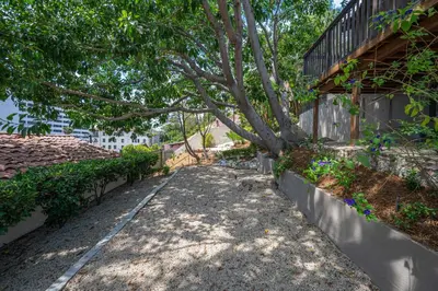 a tree in the middle of a sidewalk next to a building at Weho Sunset Strip Hideaway And Casita in Los Angeles