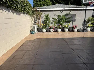 a bunch of potted plants sitting on a patio at Cute Studio with AC and Backyard in Los Angeles
