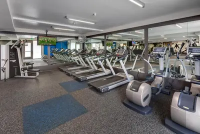 a gym with rows of treadmills and cardio machines at Serene Zen Peaceful Zen Garden View with Pool Gym in Los Angeles