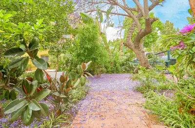 a garden path with plants and a tree at Luxe Homestay in Hollywood - by The Grove & Walk of Fame in Los Angeles