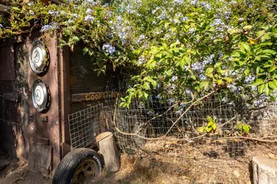 an old fence with a bunch of purple flowers at Urban Farmhouse in Venice Walk to Abbot Kinney w Patio and Parking in Los Angeles