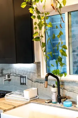a kitchen sink with a faucet and a plant at Hidden Oasis 3 bedroom 2 bathroom Home With large backyard and Views Near DTLA in Los Angeles
