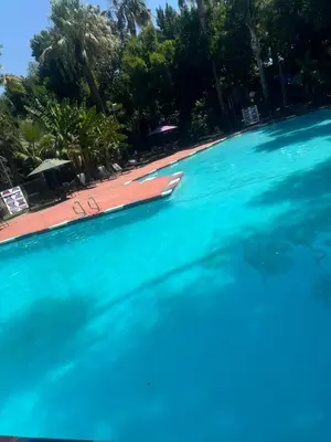 a large swimming pool with blue water at Hiltop Hotel in Bakersfield