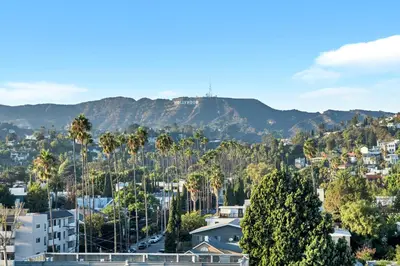 a city with palm trees and a mountain in the background at fusion hollywood in Los Angeles