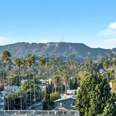 fusion hollywood
