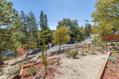 a garden with trees and a fence at The Great Escape Beach Access, Near Slopes, View in Lake Arrowhead