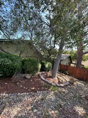 a tree in a yard next to a fence at Spacious Fully Furnished 3BR Fully Fenced Home in Riverside