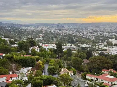 a view of a city with trees and buildings at Hollywood Hills Glass Cabin-Skyline view -Floor to Ceiling Windows in Los Angeles