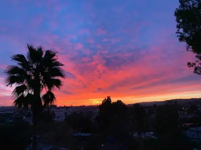 a sunset with a palm tree in the foreground at LA Chic Stunning Views & Sunsets in Los Angeles