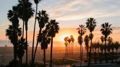 a group of palm trees on the beach at sunset at Charming Modern apartment in Santa Monica in Los Angeles