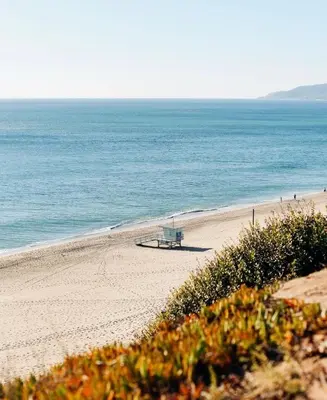 a beach with a bench on the sand and the ocean at Beautiful NEW apartment in SM! in Los Angeles