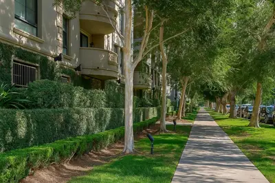 a tree lined sidewalk in front of a building at Modern 1Bed in Koreatown- Pool, Sauna & Free Parking in Los Angeles