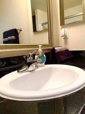 a bathroom sink with a bottle of soap on it at Downtown LA Urban Escape in Los Angeles