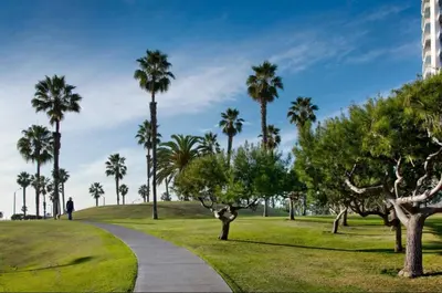 a person walking down a path in a park with palm trees at Stylish Santa Monica Apt Free Parking & Wi-Fi in Los Angeles