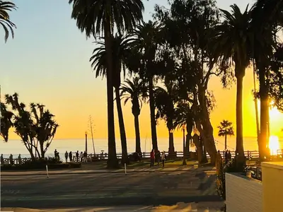 a group of palm trees on the beach at sunset at Oceanview Penthouse Luxury Stay Steps To the Beach in Los Angeles