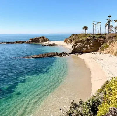 a sandy beach with palm trees and the ocean at 3 beds Apart in Beverly Hills in Los Angeles