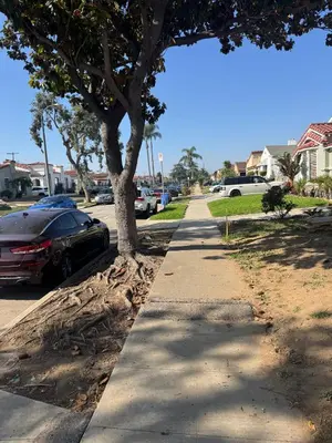 a sidewalk with a car parked next to a tree at Peaceful Cottage in Vermont Knolls in Los Angeles