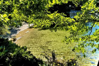 a view of a beach with trees and water at Surreal Feel Lakeview #B (Upstairs) in Lake Arrowhead