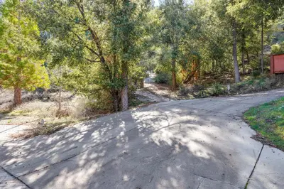 an empty road with a tree in the middle at PMC Mountainside Cabin Hit the Trails, Play Pool! in Pine Mountain Club