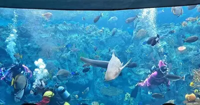 a large aquarium filled with lots of fish at Marbella Lane - Lovely DWNTN Getaway LongBeach in Long Beach