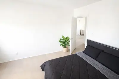 a bedroom with a black bed and a plant at Hollywood Comfort Vibe LA in Los Angeles