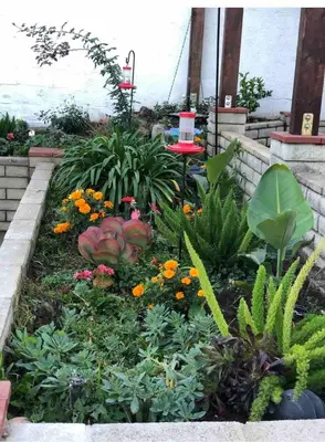 a garden with many different plants and flowers at LA Beach City Studio in Harbor City