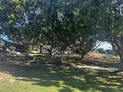 a group of trees in a yard with grass at LA Beach City Studio in Harbor City