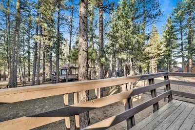 a wooden bridge in a forest with trees at Willow Bear Lodge: Shuttle Stop Pet-Friendly, Walk to the Lake | Book Your Big Bear Stay! in Big Bear Lake