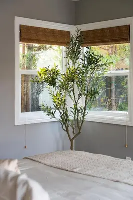 a plant sitting on a bed in front of two windows at Lovely Culver City Home 8 Mins to Beach Close to LAX in Los Angeles