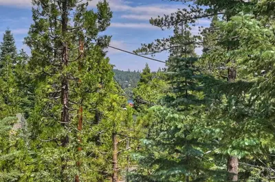 a view of a forest of pine trees at Yama Cabin - 5 min walk to the village, EV plug, hot tub, kid & pet friendly in Lake Arrowhead