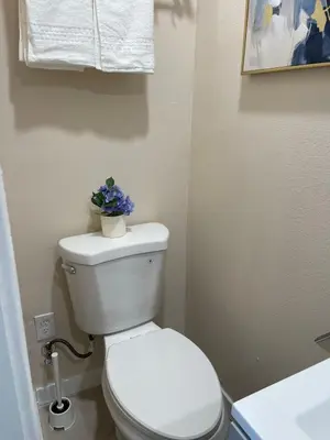 a bathroom with a toilet with a plant on top of it at \u6c11\u5bbf\u963f\u5c14\u7f55\u5e03\u62c9666-888 in Alhambra