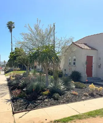 a garden in front of a house with palm trees at Curated Central Location LA in Los Angeles