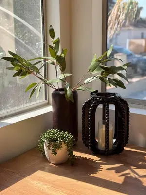 a window sill with two plants and a black vase at Modern Tarzana Poolside Retreat in Tarzana