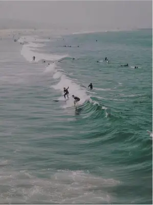 a group of surfers and a dog riding a wave in the ocean at the in Los Angeles