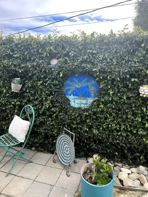 a hedge with a blue window and a chair at Cozy Villa with Spa, Fireplace, Kitchen, Yard, BBQ in Simi Valley