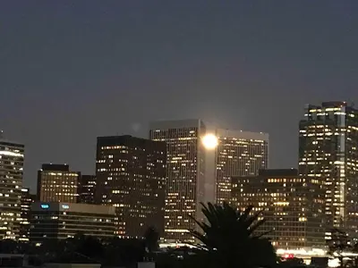 a city skyline at night with a lot of buildings at Fara UCLA in Los Angeles