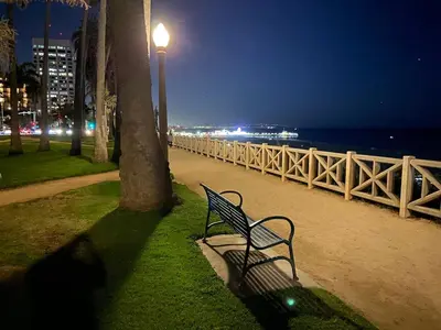 a park bench sitting next to a tree at night at Sweet 2 bedrooms home by the beach city in Los Angeles